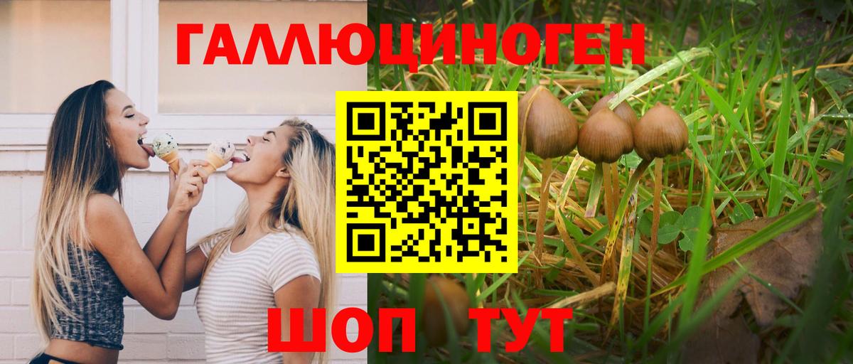 Галлюциногенные грибы ЛСД Зерноград