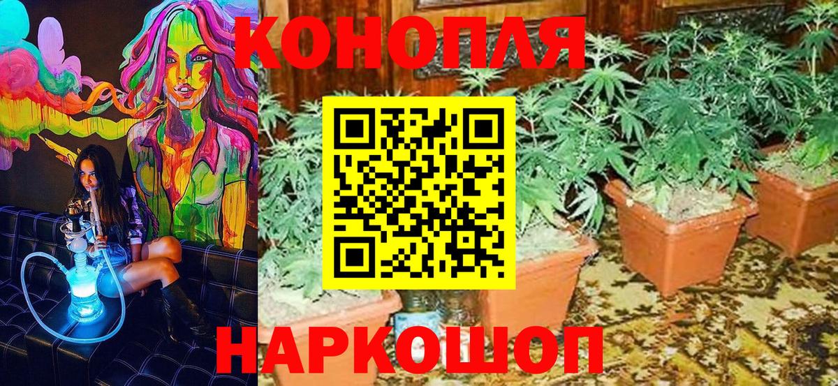 Каннабис SATIVA & INDICA  Бошки марихуана конопля  Вход с VPN  Зерноград  МАРИХУАНА сатива  Бошки Шишки SATIVA & INDICA 
